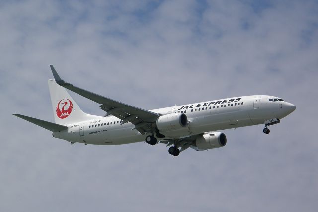 Boeing 737-800 (JA339J)