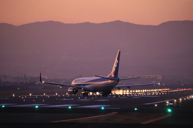 Boeing 737-800 (JA54AN) - November 24th 2019:ITM-CTS.