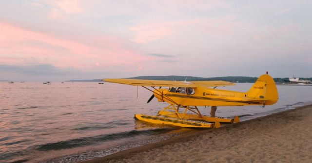 Piper L-21 Super Cub (N644DR)