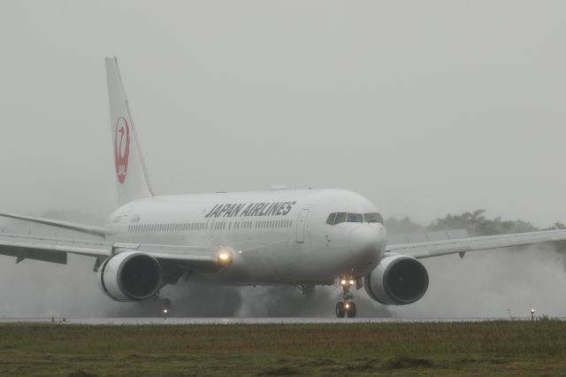 BOEING 767-300 (JA8975) - 26 September 2015: HND-HKD.