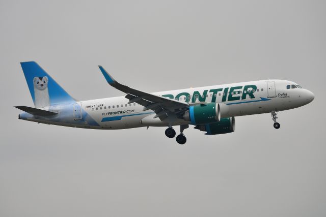 Airbus A320 (N339FR) - First photo of this new addition to the Frontier fleet on this database.