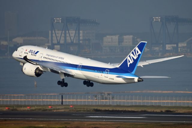 Boeing 787-8 (JA819A)