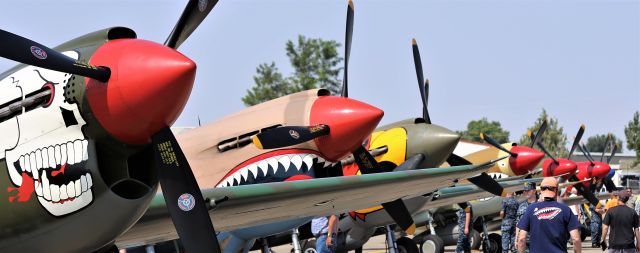 CURTISS Warhawk (N40P) - Warbird Roundup 2018 at Warhawk Air Museum, Nampa, ID, 25 Aug 18