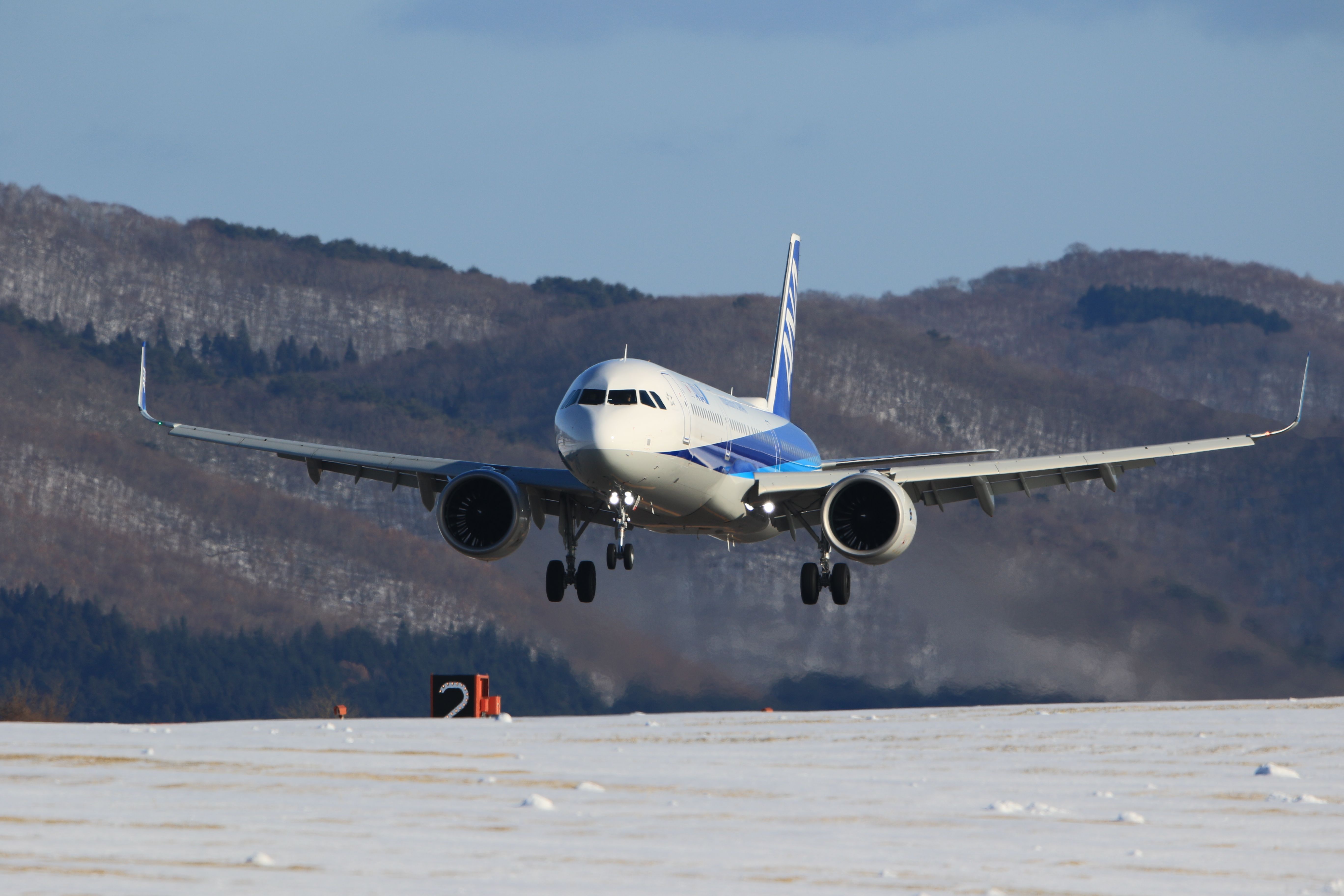 Airbus A321 (JA138A) - January 12th 2019:HND-HKD.