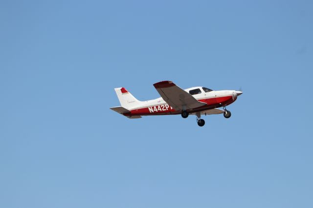 Piper Cherokee (N442PA)