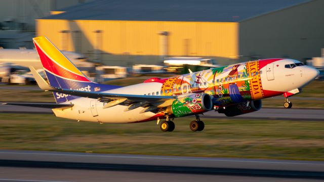 Boeing 737-700 (N945WN) - "Florida One" taking off from Love Field.