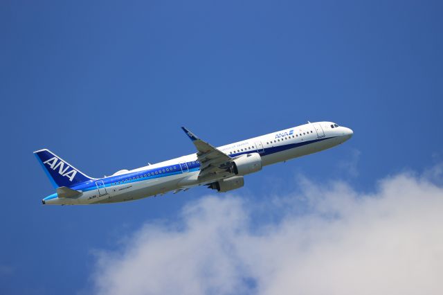 Airbus A321 (JA131A) - August 7th 2021:HKD-HND.