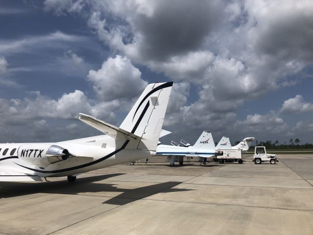 Cessna Citation V (N17TX)