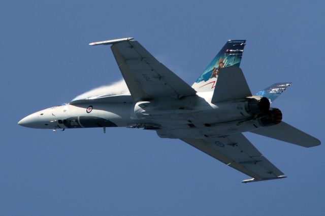 McDonnell Douglas FA-18 Hornet (18-8781)