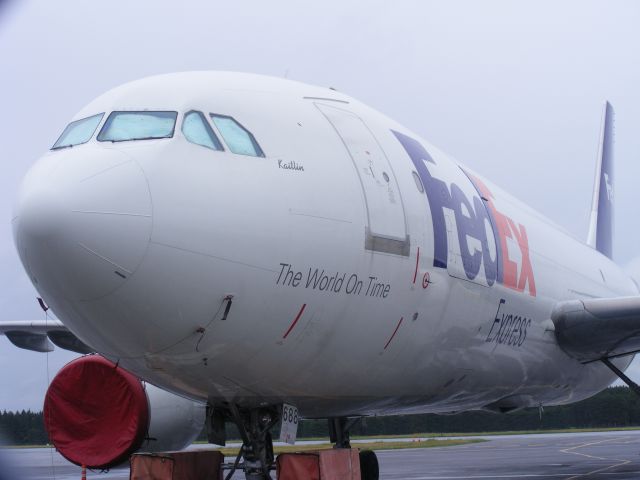 Airbus A310 — - kaitlin on nose