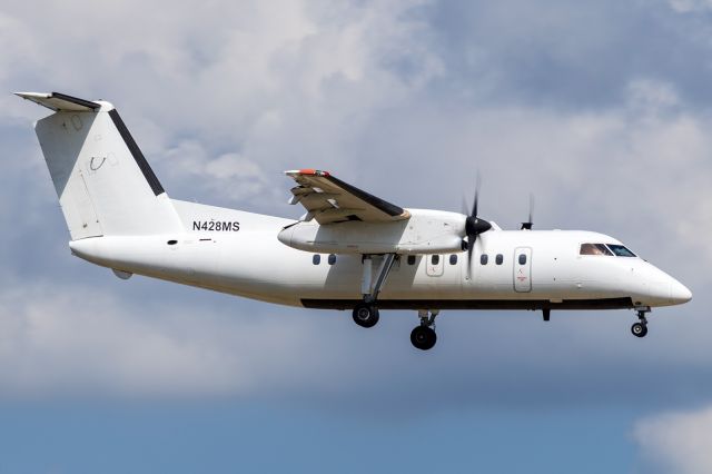 de Havilland Dash 8-200 (N428MS)