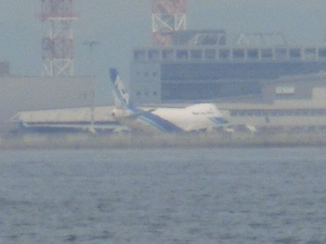 Boeing 747-200 (JA08KZ) - 対岸から。br /なぜか、リレーしていました。