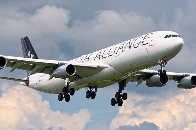 Airbus A340-300 (D-AIGP) - 9/26/2015. The second flight of the new route direct from Frankfurt to Tampa. Short final to 19R in Star Alliance livery.