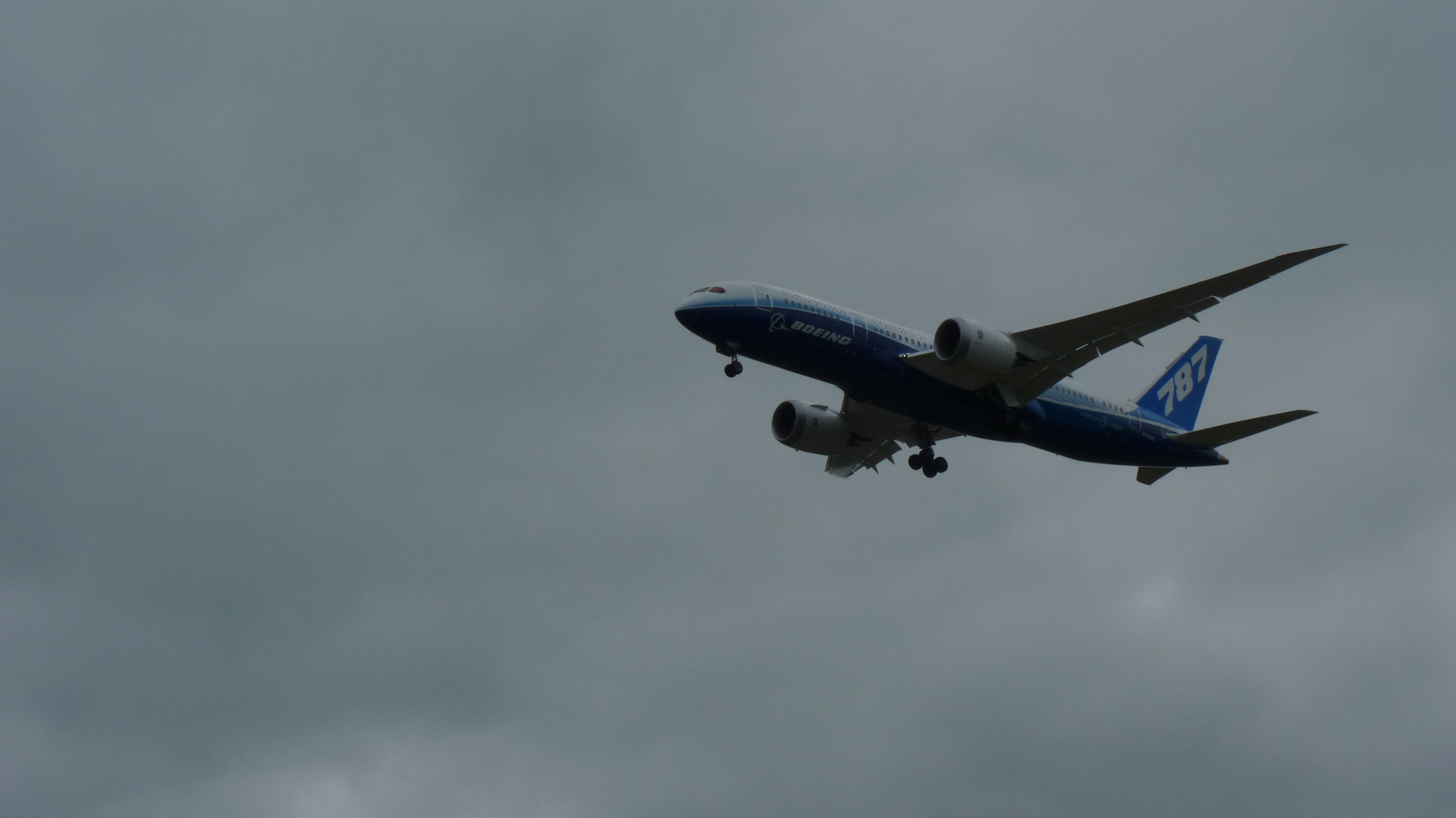 Boeing 787-8 (N787BX)