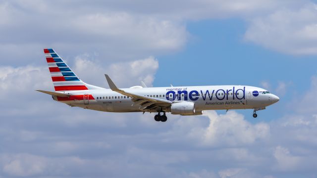 Boeing 737-800 (N837NN) - American Airlines 737-800 in special One World livery landing at DFW airport on 8/6/2022. Taken with a Canon 850D and Rokinon 135mm f/2 lens.