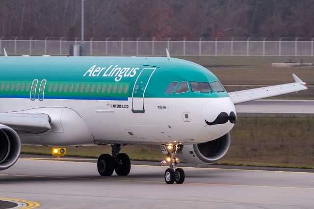 Airbus A320 (EI-DES) - EI-DES Aer Lingus Airbus A320-214 with the Movember Foundation Livery a beauty beard @ Frankurt (EDDF) coming in from Dublin (EIDW) / 04.12.2014 