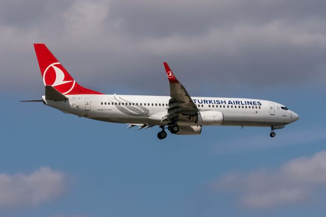 Boeing 737-700 (TC-JFY) - TC-JFY Turkish Airlines Boeing 737-8F2(WL) @ Frankfurt (EDDF) / 27.08.2014