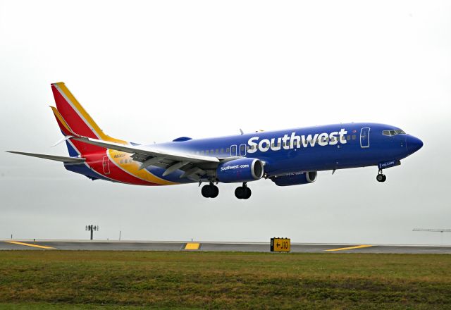 Boeing 737-800 (N8313F)