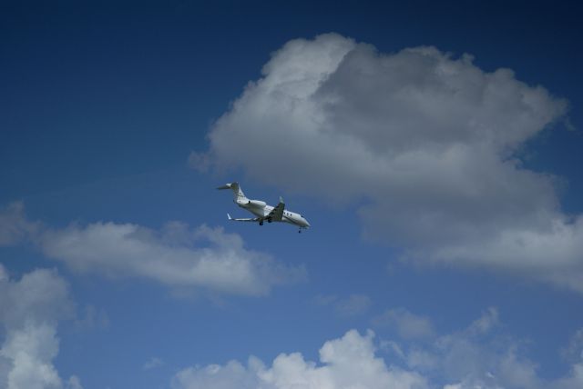 Bombardier Challenger 300 (N205FP)