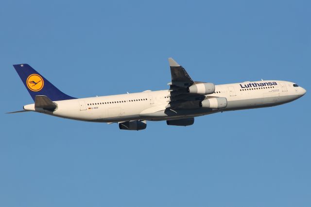 Airbus A340-300 (D-AIGZ) - D-AIGZ Lufthansa Airbus A340-300 taking off from Frankfurt on flight LH758 to Chennai at 12:35pm on Tuesday 09/01/24
