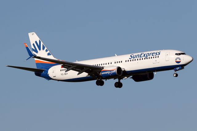 Boeing 737-800 (TC-SEY)