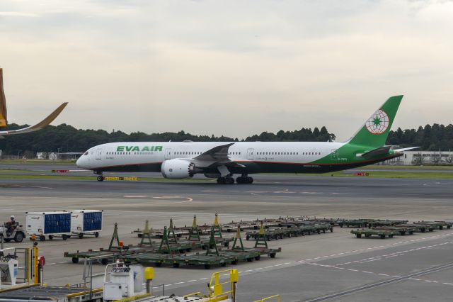 BOEING 787-10 Dreamliner (B-17802)