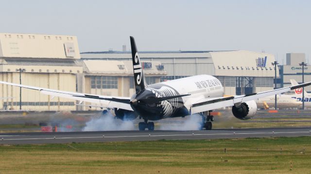 Boeing 787-9 Dreamliner (ZK-NZD) - I photographed it in a Narita Sakuranoyama Park.br /ニュージーランド航空 (Air New Zealand) / Boeing 787-9br /Apr.09.2016 Narita International Airport [NRT/RJAA] JAPAN