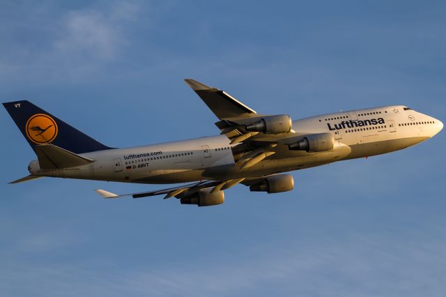 Boeing 747-400 (D-ABVT) - evening un