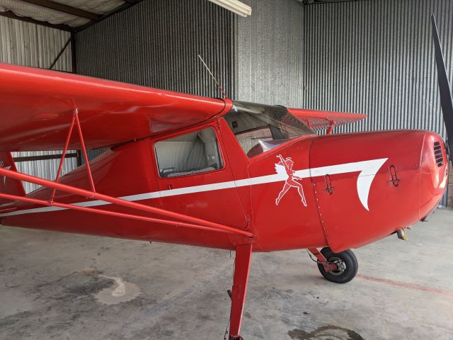 Cessna 120 (N89550)