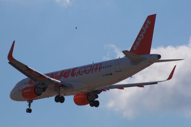 Airbus A320 (G-EZWH) - EZ-jet Airbus 01/2015 morning landing on runway 12. Small bird appear above the fuselage.
