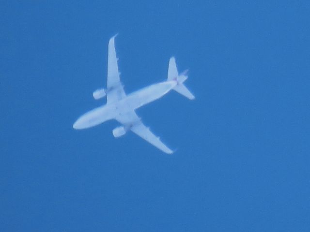 Airbus A319 (N9002U)