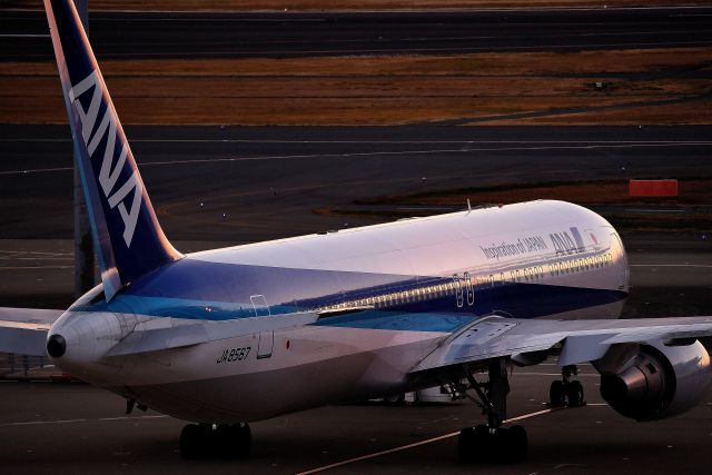 BOEING 767-300 (JA8567)