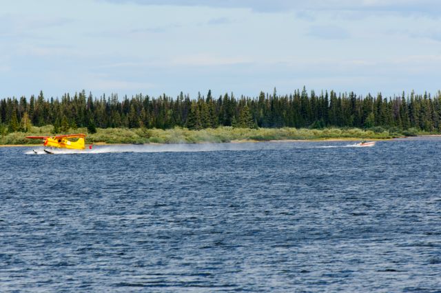 De Havilland Canada DHC-2 Mk1 Beaver (C-FODB)