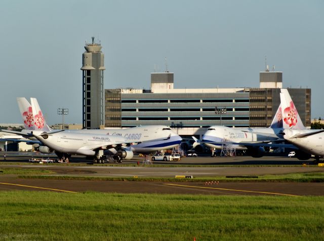 Airbus A330-300 (B-18356)