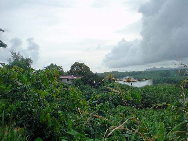 Cessna T188 AgHusky (F-OIVR) - Spraying on Bananas field in Martinique French West Indiesbr /Pilot: Vincent ROY