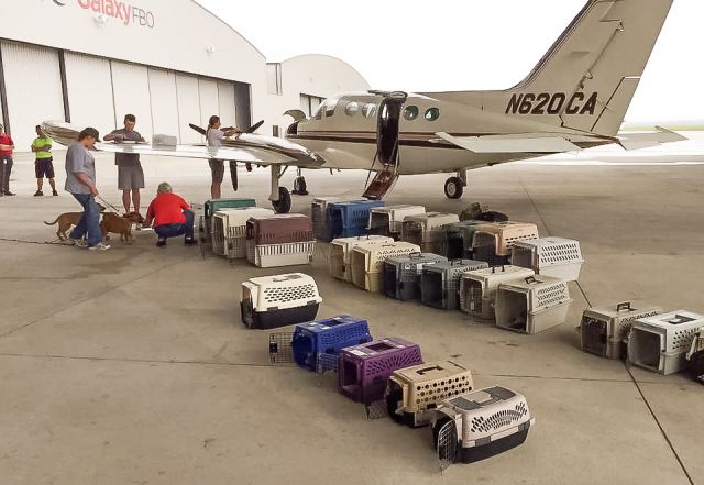 Cessna Chancellor (N620CA) - The Cloud Nine Rescue Flights Cessna 414 on its inaugural animal rescue mission.