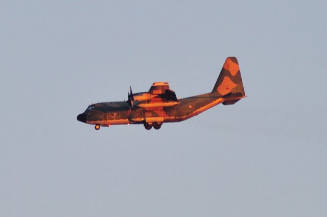 Lockheed C-130 Hercules (FAP) - 2009 - FAP-Portuguese Air Force, landing at Sunset