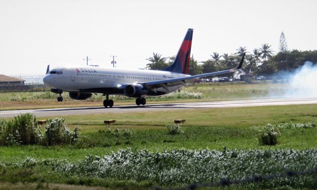 Boeing 737-900 (N845DN)