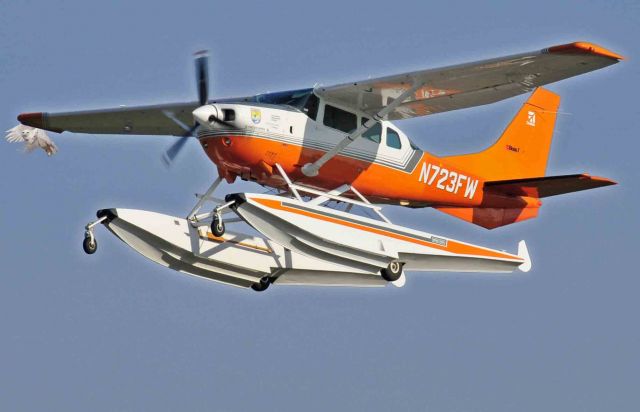 Cessna 206 Stationair (N723FW) - Whoa! watch that Snowy Owl!