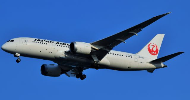 Boeing 787-8 (JA830J)