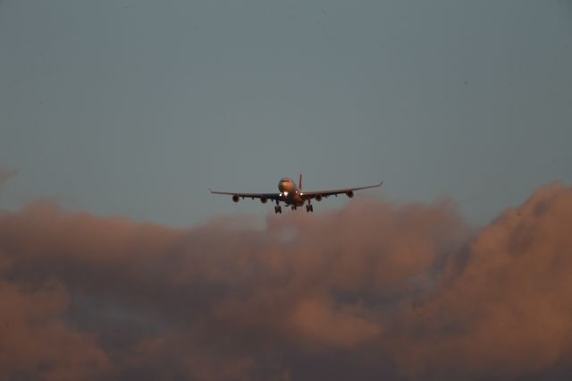 Airbus A340-300 (HB-JMJ)