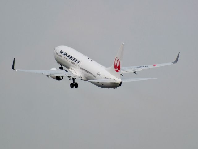 Boeing 737-800 (JA303J)