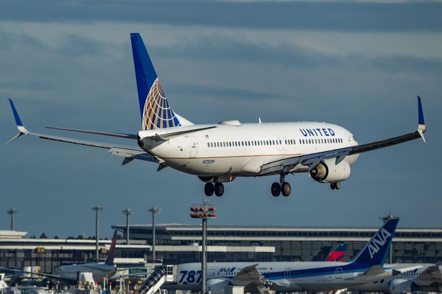 Boeing 737-800 (N73299)