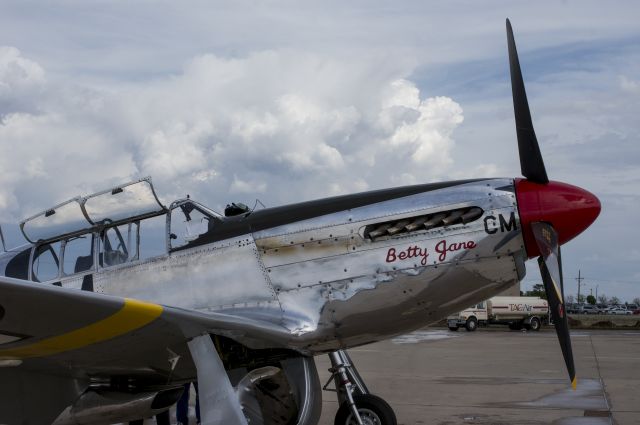 North American P-51 Mustang (N251MX)