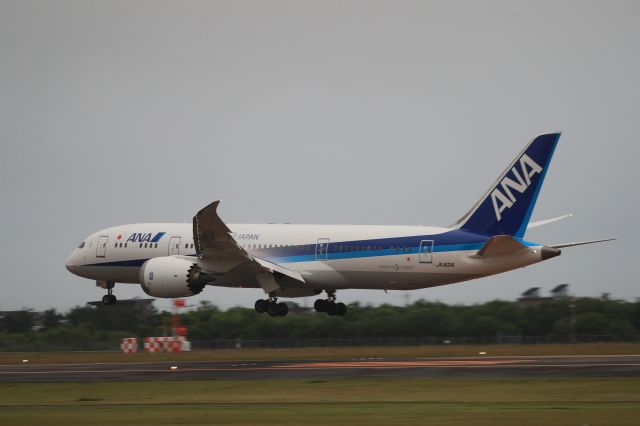 Boeing 787-8 (JA821A) - July 1st 2019:HND-HKD.