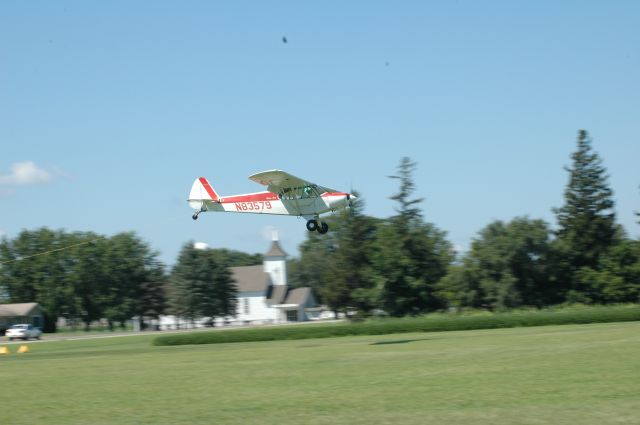 Piper L-21 Super Cub (N83579)