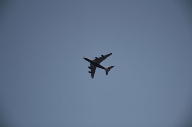 Airbus A380-800 — - FINAL APPROACH KLAX 24R