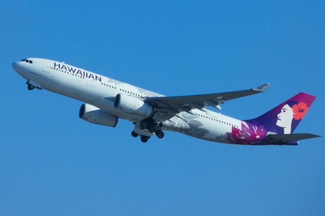 Airbus A330-200 (N395HA)
