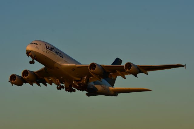 Airbus A380-800 (D-AIMD)