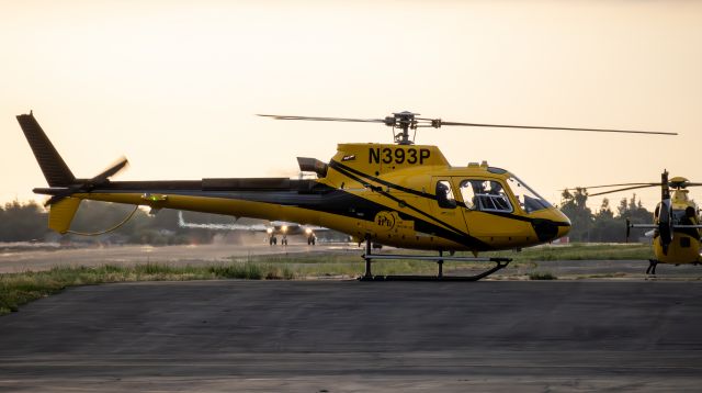 Eurocopter AS-350 AStar (N393P)